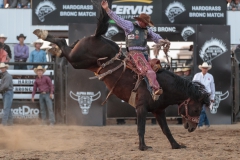 Short Round Sam Kelts on CS T-38 Timely Delivery at Hardgrass Bronc Match 2018