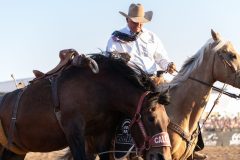 Pollockville, Alberta - July29:Hardgrass Bronc Match Weekend

Photo credit: Logan Armstrong | Crowbait Creative