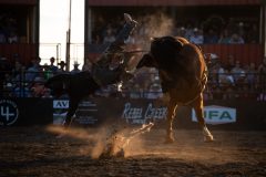 Pollockville, Alberta - July29:Hardgrass Bronc Match Weekend

Photo credit: Logan Armstrong | Crowbait Creative