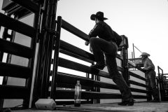 Pollockville, Alberta - July29:Hardgrass Bronc Match Weekend

Photo credit: Logan Armstrong | Crowbait Creative