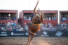 Pollockville, Alberta - July29:Hardgrass Bronc Match Weekend

Photo credit: Logan Armstrong | Crowbait Creative