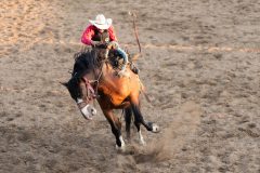 Pollockville, Alberta - July29:Hardgrass Bronc Match Weekend

Photo credit: Logan Armstrong | Crowbait Creative