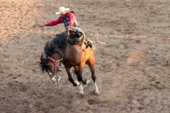 Pollockville, Alberta - July29:Hardgrass Bronc Match Weekend

Photo credit: Logan Armstrong | Crowbait Creative