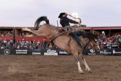 Pollockville, Alberta - July29:Hardgrass Bronc Match Weekend

Photo credit: Logan Armstrong | Crowbait Creative