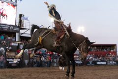 Pollockville, Alberta - July29:Hardgrass Bronc Match Weekend

Photo credit: Logan Armstrong | Crowbait Creative