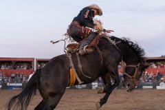 Pollockville, Alberta - July29:Hardgrass Bronc Match Weekend

Photo credit: Logan Armstrong | Crowbait Creative