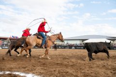 Brooks, Alberta - July28:Brooks Hotel Downtown Bullapalooza

Photo credit: Logan Armstrong | Crowbait Creative