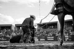 Brooks, Alberta - July28:Brooks Hotel Downtown Bullapalooza

Photo credit: Logan Armstrong | Crowbait Creative