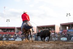 Brooks, Alberta - July28:Brooks Hotel Downtown Bullapalooza

Photo credit: Logan Armstrong | Crowbait Creative