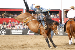 27JUL24_Pollockville_LEON-FOUNTAIN-CA-B-83-BORDERLINE-UNTIMELY_0441