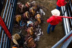 Pollockville, Alberta - July27:Hard Grass Bronc Match

Photo credit: Logan Armstrong | crowbaitcreative.com