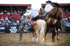 Pollockville, Alberta - July27:Hard Grass Bronc Match

Photo credit: Logan Armstrong | crowbaitcreative.com
