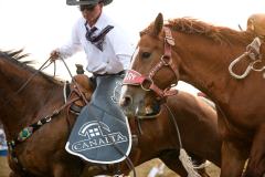 Pollockville, Alberta - July27:Hard Grass Bronc Match

Photo credit: Logan Armstrong | crowbaitcreative.com