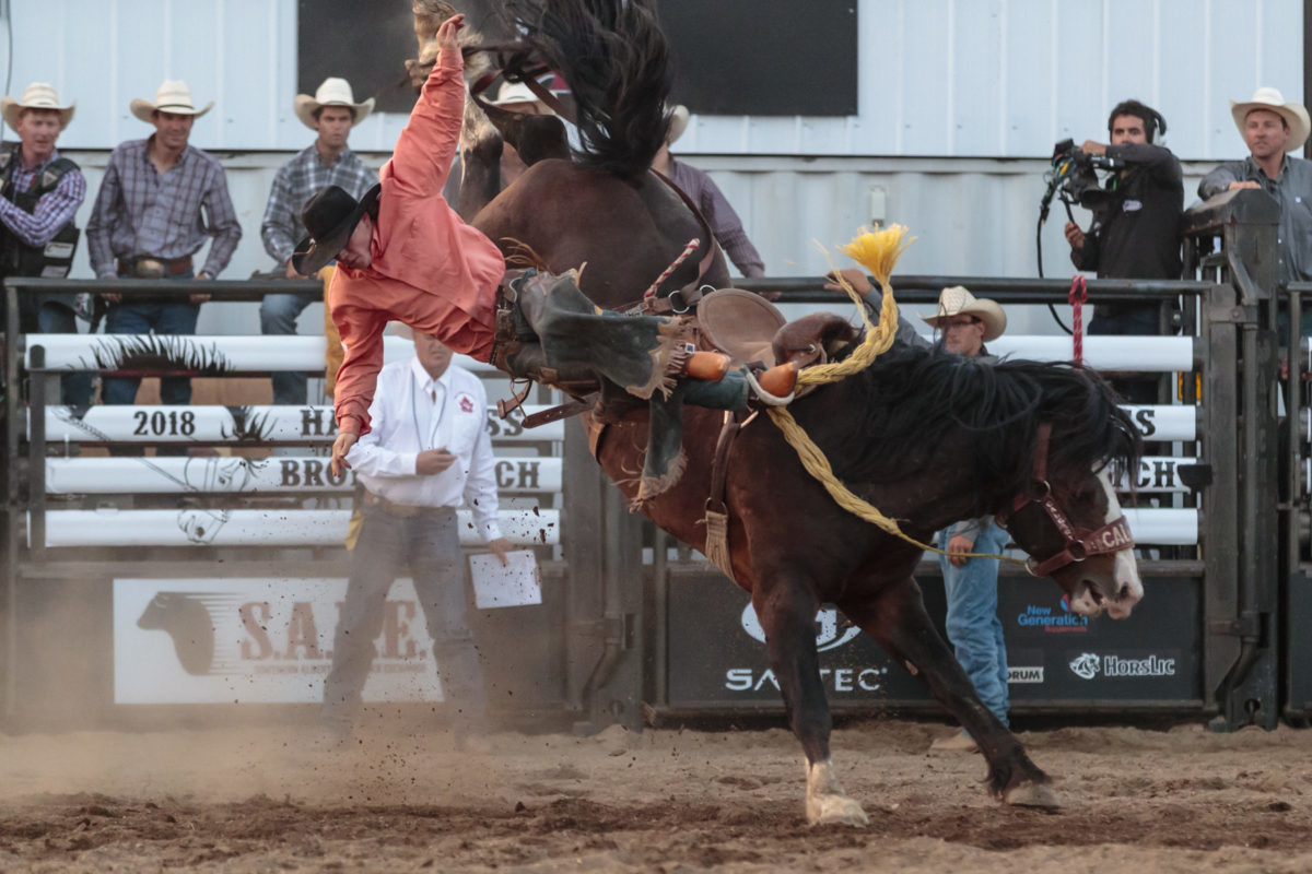 Hardgrass Bronc Match - 7th Annual Event in Pollockville, Alberta