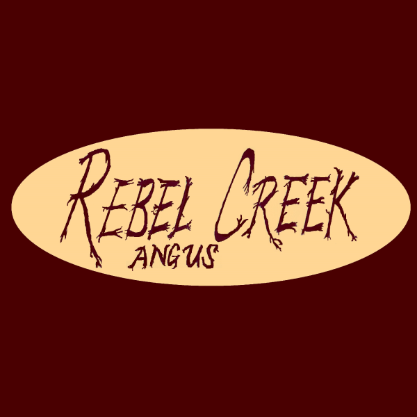 Rebel Creek Angus